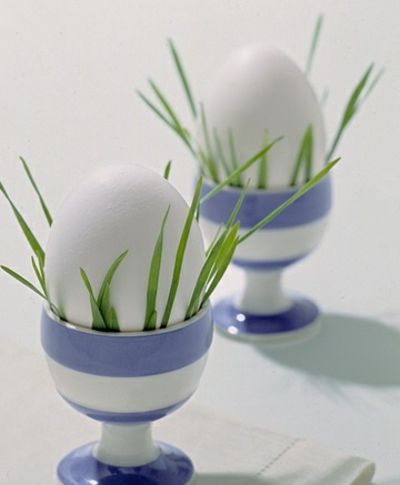 Eierbecher mit natürlichem Gras-Tisch Dekoration Ideen Ostern