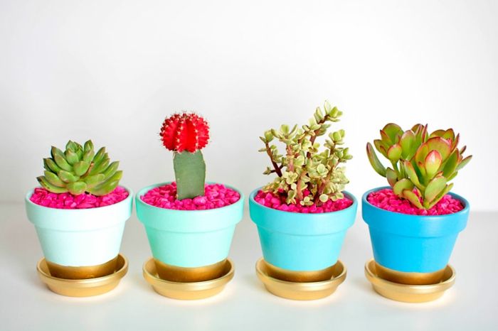 Farbenfrohe sommerliche Blumentöpfe im modernen Interieur-Blumentöpfe Zimmerpflanzen Sukkulenten DIY Deko Steine Ideen