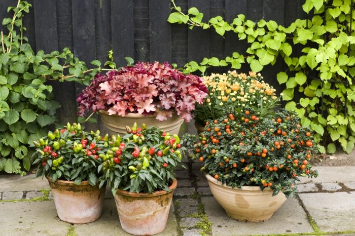Garden decoration with potted plants