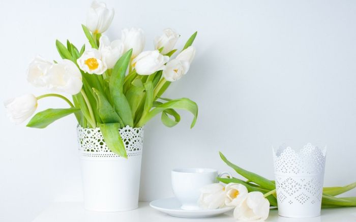 Schnittblumen auf weißem Hintergrund-Dekoration Einrichtung Wohnzimmer