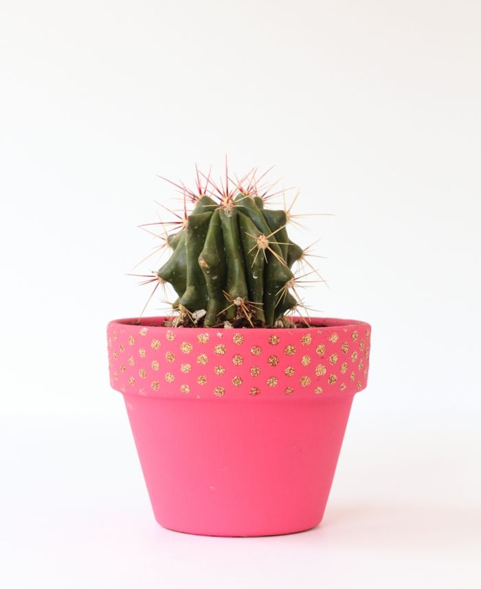 Great dotted pattern in gold and pink flower pot, handicrafts indoor plants, cacti