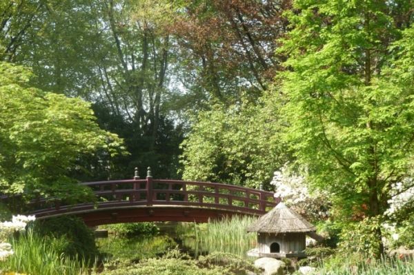 Der japanische Garten – ein wahres Kunstwerk - Trendomat.com