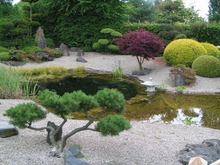 Japanese garden with a small pond garden design