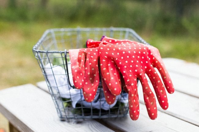 red gardening gloves with white dots as garden decoration garden decoration - ideas