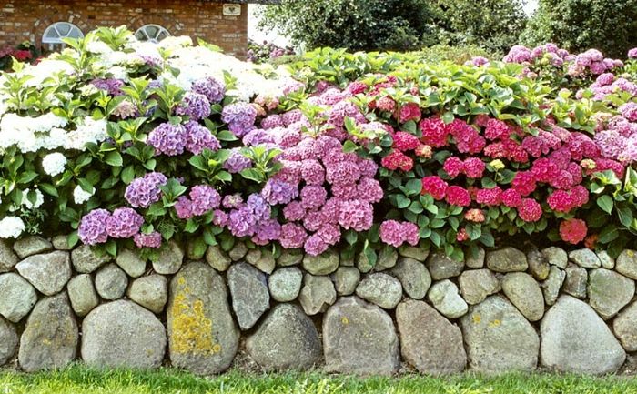 Flower bed border with stones and flowers