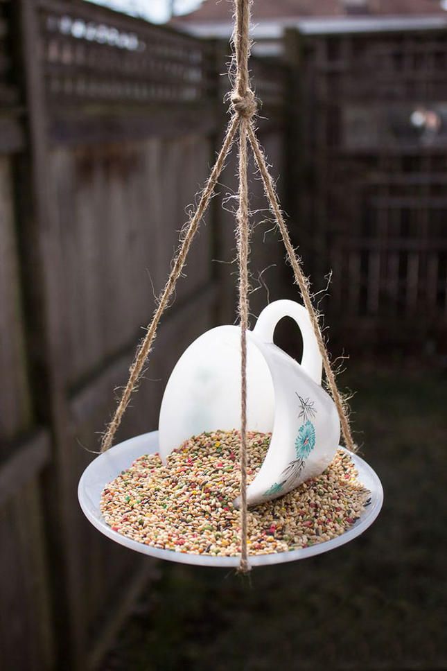 Bird feeders inexpensive creative DIY