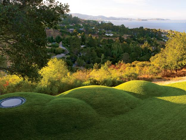 Artificial mound with attached trampoline garden backyard planning design