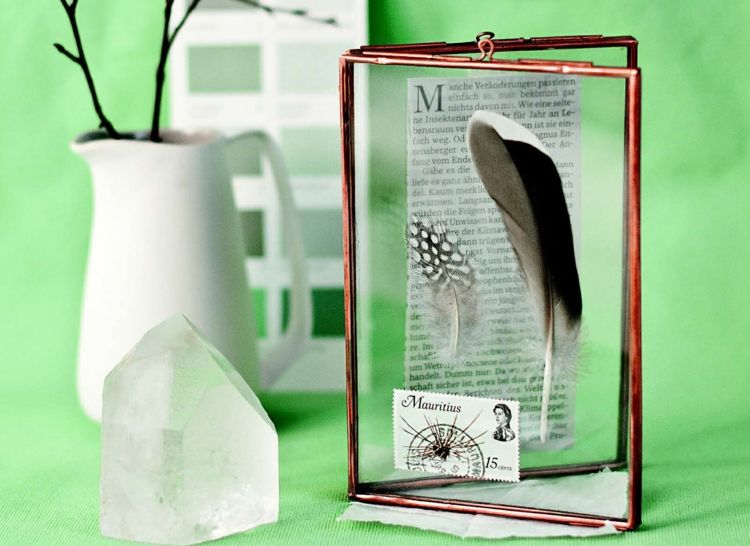 Decorate pictures with feathers