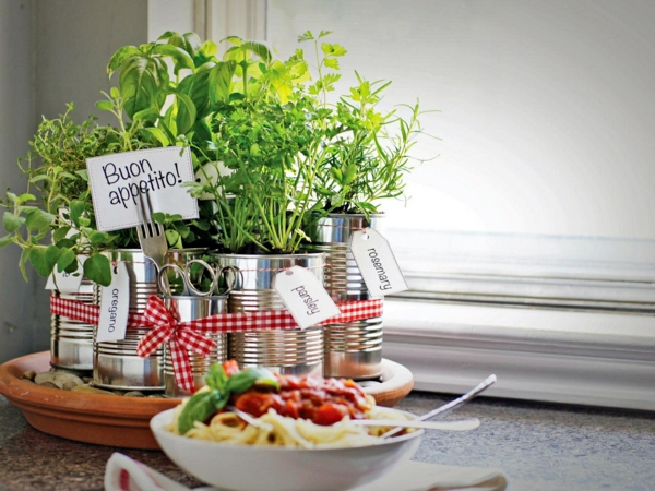 small herb garden for the kitchen