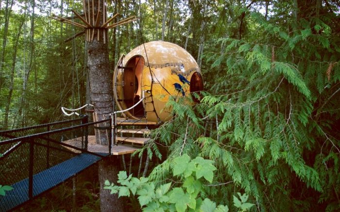 round tree house