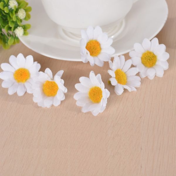 Bellis as decorative objects on the table