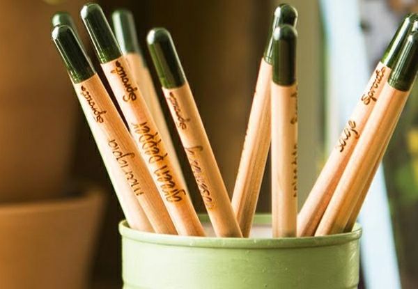 Bleistift Natur Produkt Zedernholz