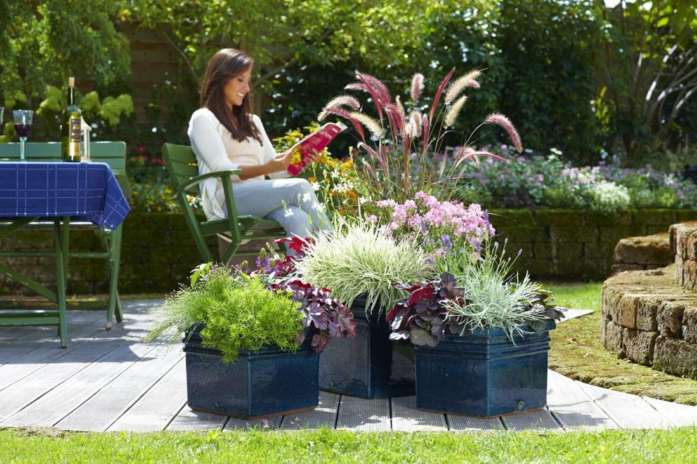 Blossoms, leaves and grasses offer a delightful autumn ambience in pots and troughs