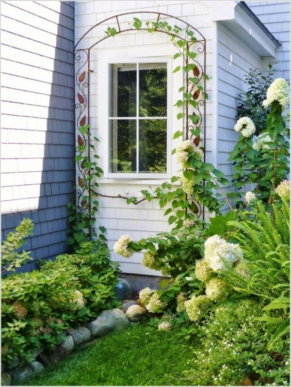 Trellis with climbing plants on the window make the small garden even prettier