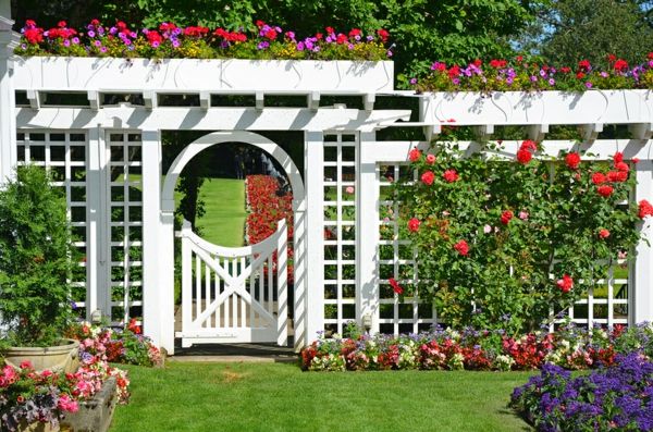 Trellis with a beautiful design for climbing plants and flowers
