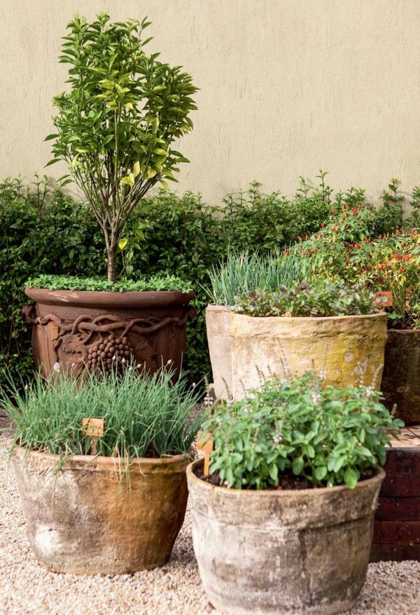 Pot garden in ceramic pots just like the Mediterranean