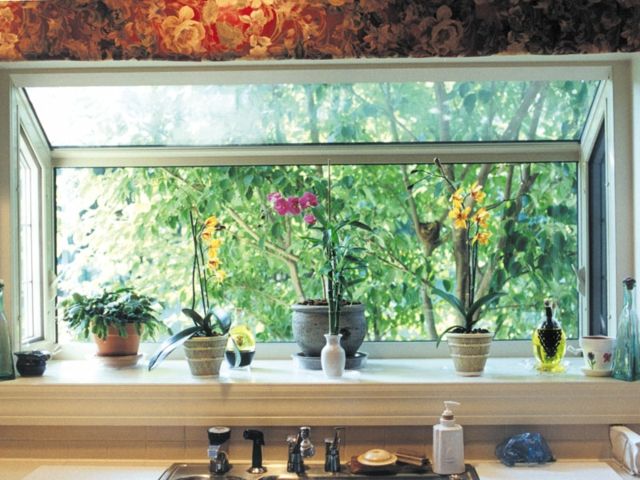 Potted plants windowsill kitchen indirect daylight
