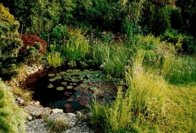 Kreative Tipps Wie Man Einen Kleinen Teich Im Garten Geniesst