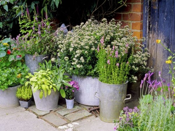 small garden with flowers and herbs in metal pots