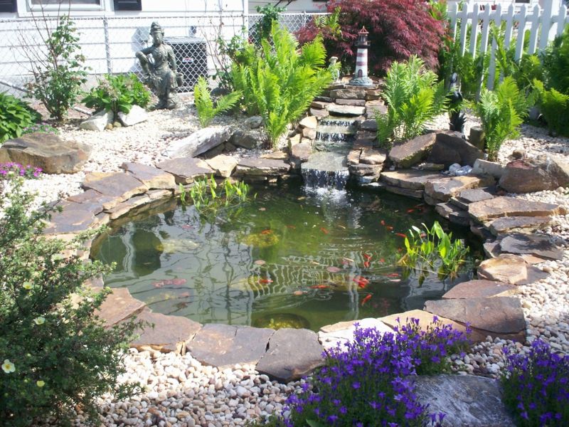 round water basin in the garden with floating water plants