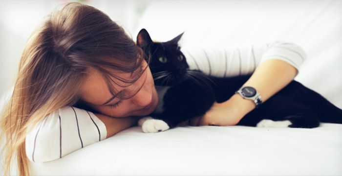 Black cuddling pet cat