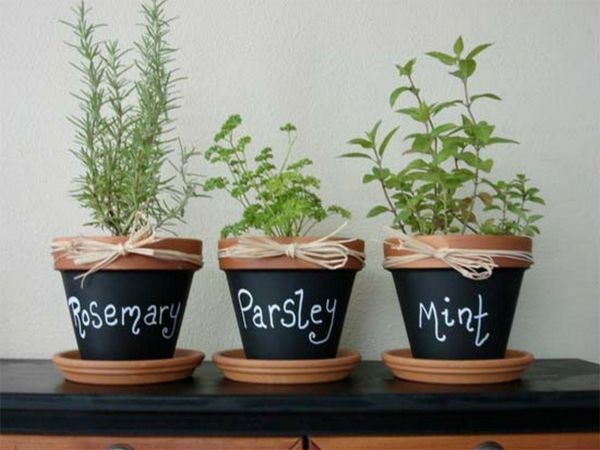 Herbs are not only delicious, they also look great in pots on the terrace and balcony - decoration ideas for balcony terrace