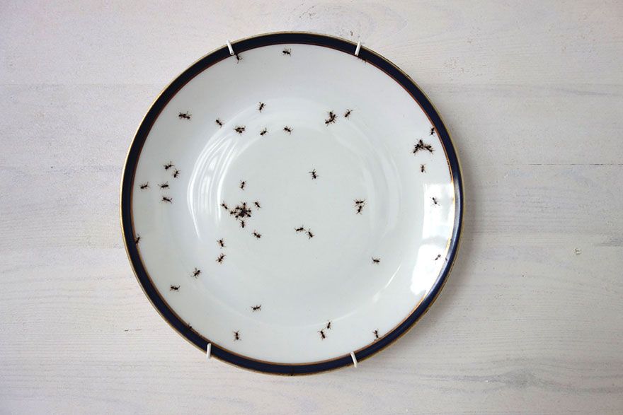 Unterteller Flohmarkt bemalt Ameisen