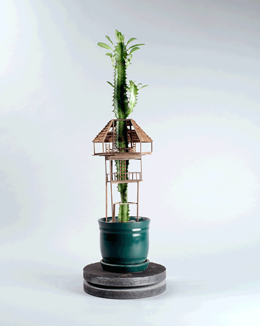 Decorative plants art tiny tree house Jedediah Corwyn Voltz plant pot green