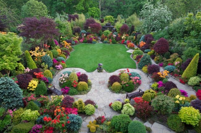 The hedge cut forms individual garden sections or becomes a calming background for combinations of plants.