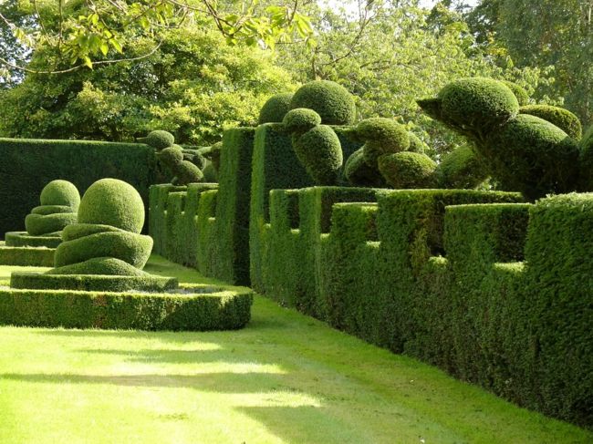 Figures made of evergreen plants give the property structure in every season