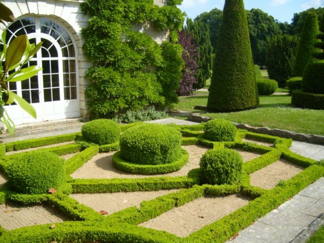 Geometric structures made of boxwood in the garden