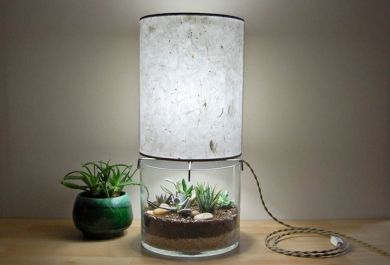 Neuer Hingucker zu Hause – Mini Terrarium mit grünen Pflanzen als Teil einer eleganten Tischlampe