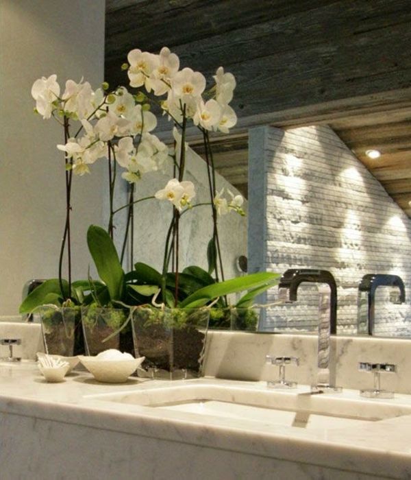 Orchideen unterstreichen die Schönheit der Dekoration im Badezimmer.