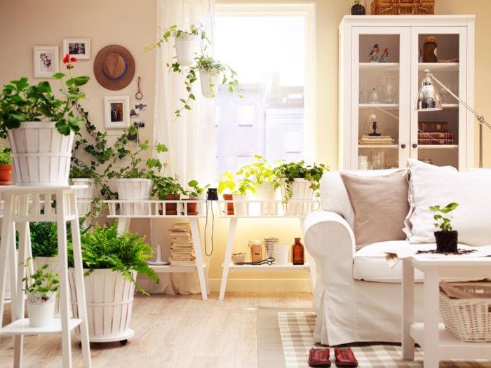 Plants have a balancing effect and are essential when furnishing according to Feng Shui