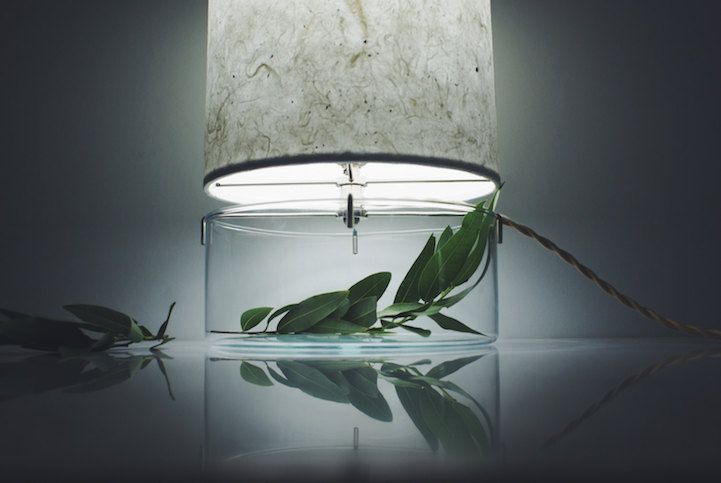 Terrarium minimalistisch Design Tischlampe breit Glasfuss Interieurpflanze Deko