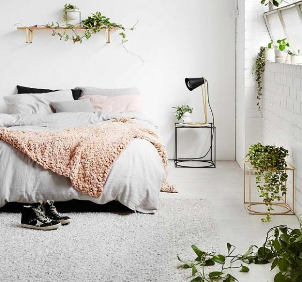 10 Ideen für Ihre neuen Pflanzen zu Hause