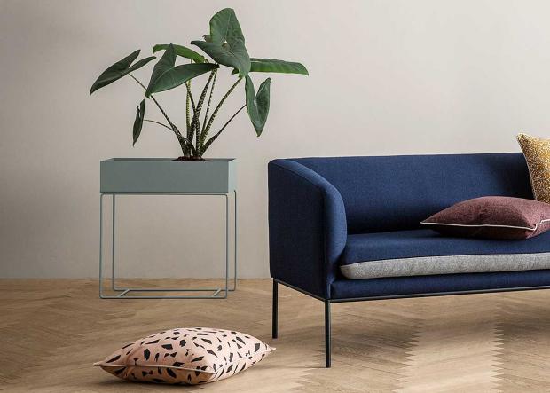 Apartment ideas plants sofa dark blue ficus wooden floor decorative pillows