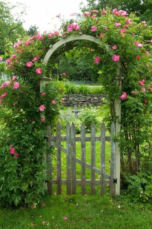 Garden arch climbing rose wooden door in the garden