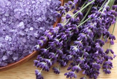7 nützliche Eigenschaften von Lavendel – der blaue Alleskönner aus der Natur