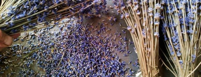 Ideas home decoration lavender dried lavender bunches