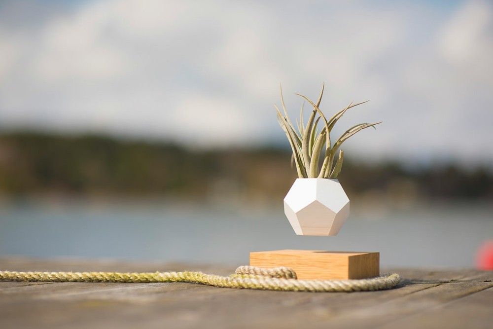 Outdoor decoration idea Succulent floating flower pot LYFE