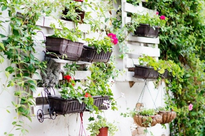 Balcony ideas plant
