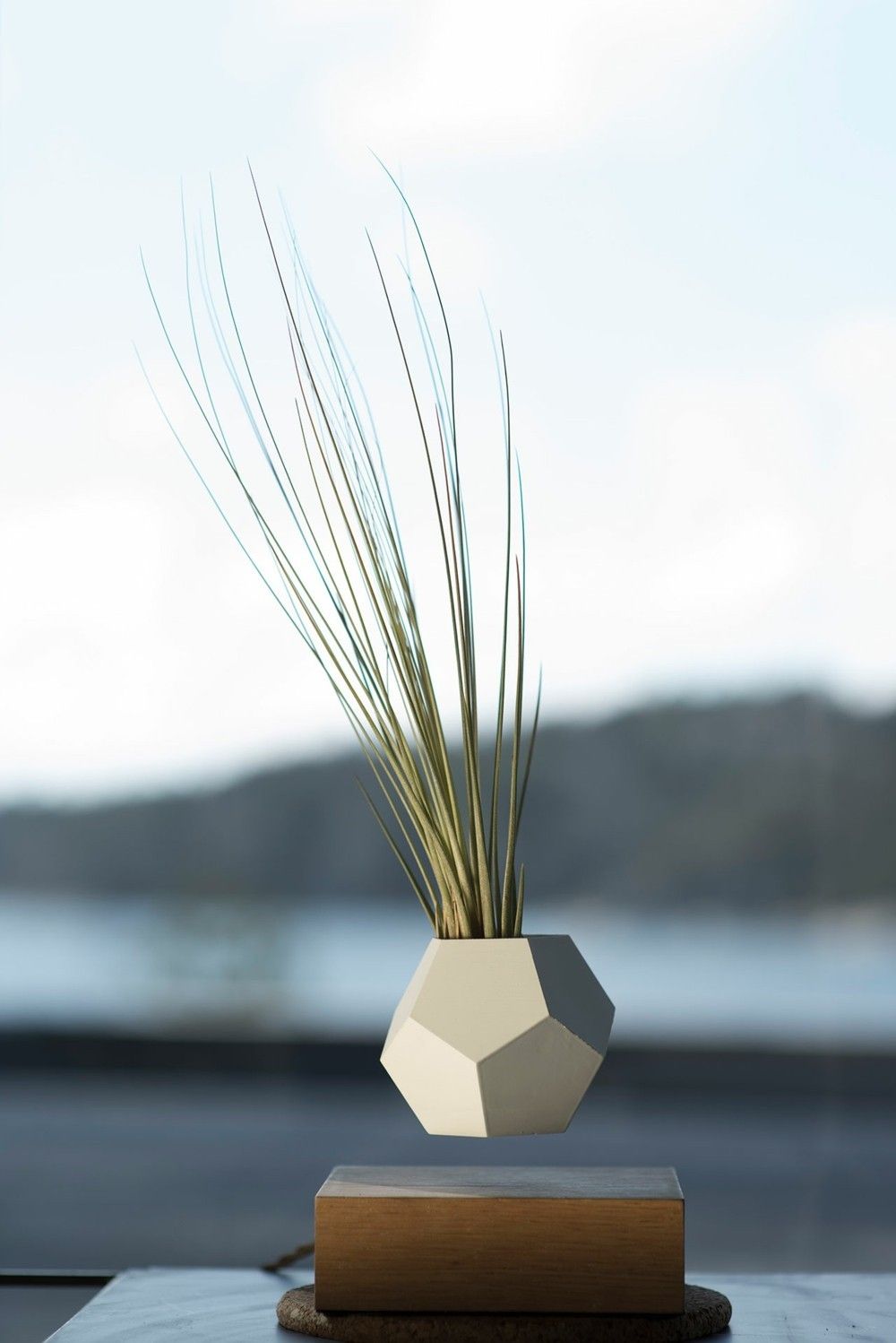 Decoration idea outdoors flower pot levitation ornamental grass