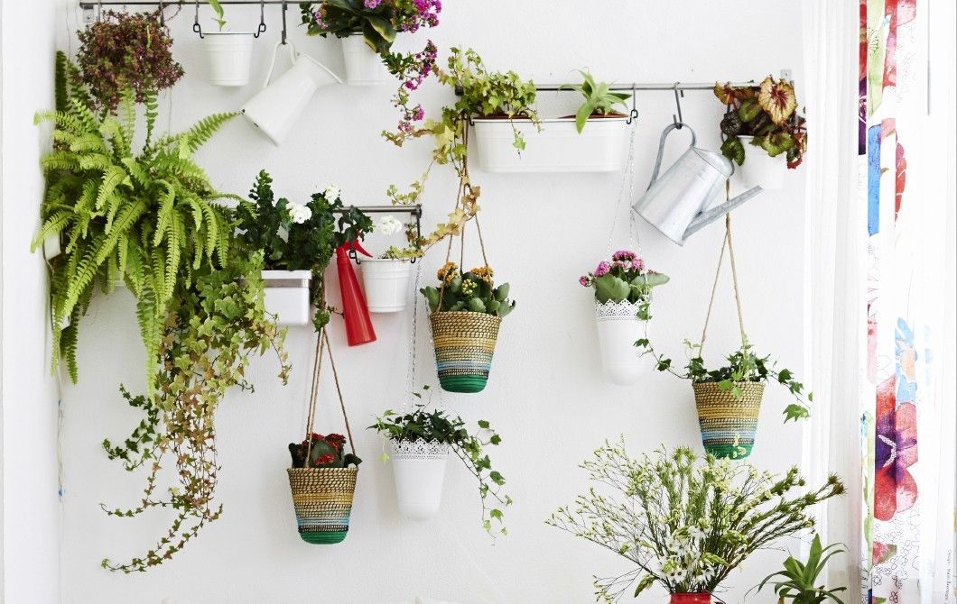 Die Grüne Wand bringt ein Stück Natur auf Ihren Balkon oder auf die