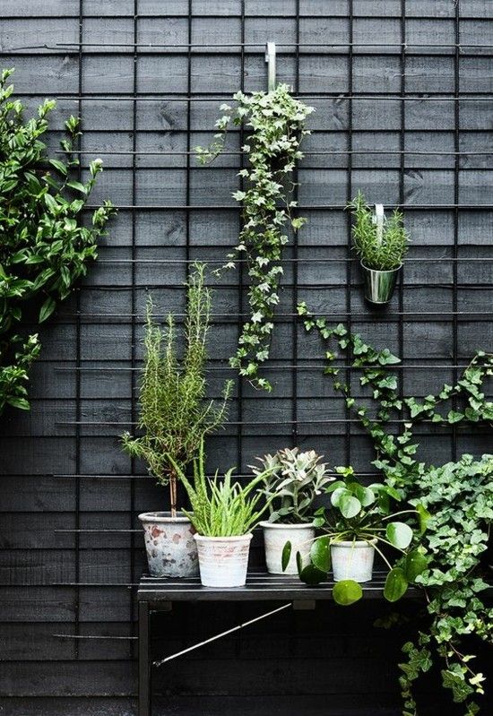 Grüne Wand Ideen Terrasse