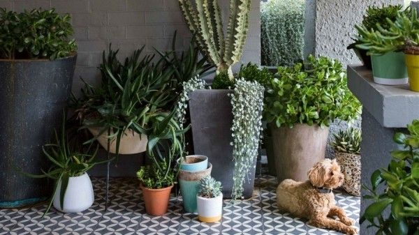 Was man über die Gartengestaltung noch wissen muss? - Trendomat.com