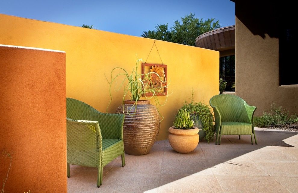 Cacti in the garden Succulents in pots modern look wall in yellow Pedilanthus macrocarpus