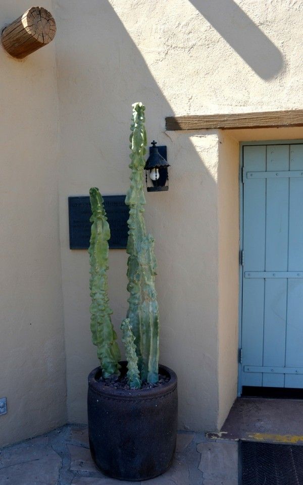 Kaktus im runden Topf Gartengestaltung Deko Ideen