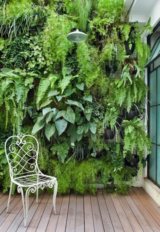 44+ Vertikal Garten Innen, Vertikale gärten im innenraum bieten eine
