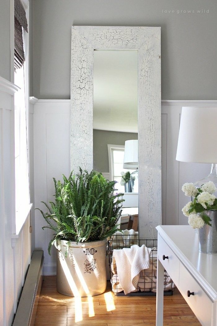 House plants fern large mirror hallway